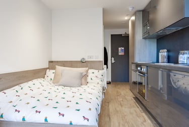 Superior Studio at Pavilion Point, 118-132 London Road, The Level, Brighton, BN14JH - Image 4